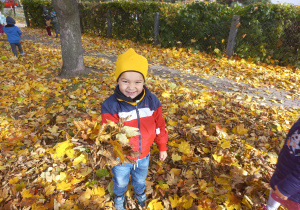 Dziecko pozuje do zdjęcia trzymając jesienne liście